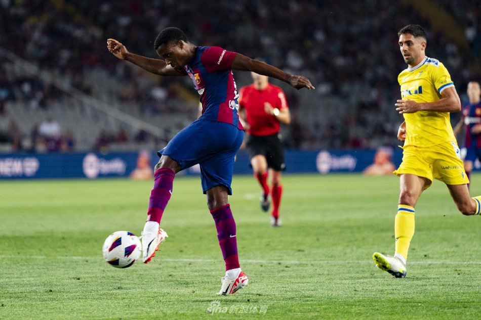 这不仅意味 这不仅意味